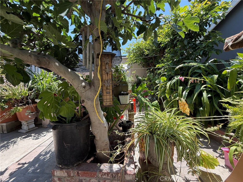 https://media.crmls.org/medias/afe9018c-1ce9-4f1e-aef7-28f04bc679f5.jpg?preset=X-Large