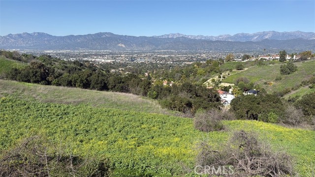 Detail Gallery Image 69 of 71 For 19759 Alpine Crest Rd, Walnut,  CA 91789 - 5 Beds | 3 Baths