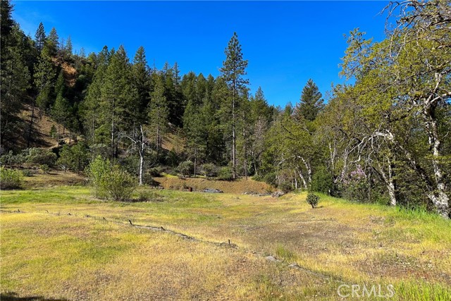 Detail Gallery Image 10 of 35 For 1271 Lake, –,  CA 96048 - – Beds | – Baths