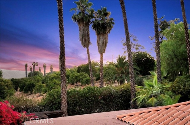 Detail Gallery Image 5 of 51 For 2945 Tyler, Riverside,  CA 92503 - 5 Beds | 3 Baths