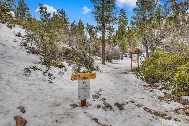 Detail Gallery Image 28 of 28 For 432 Gold Mountain Dr, Big Bear City,  CA 92314 - 3 Beds | 2 Baths