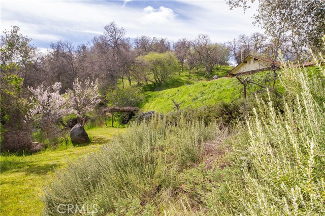 Detail Gallery Image 42 of 55 For 51859 Sesame, Squaw Valley,  CA 93675 - 2 Beds | 2 Baths