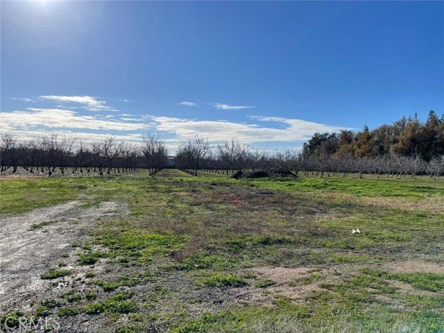 0 Justeson, Gridley, CA, 95948 0 Justeson, Gridley, CA, 95948