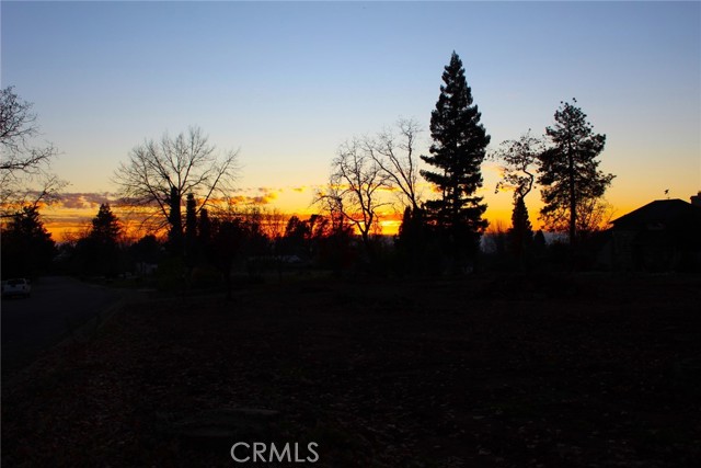 219 Redbud Drive, Paradise, California 95969, ,Land,For Sale,219 Redbud Drive,CRPA24007424