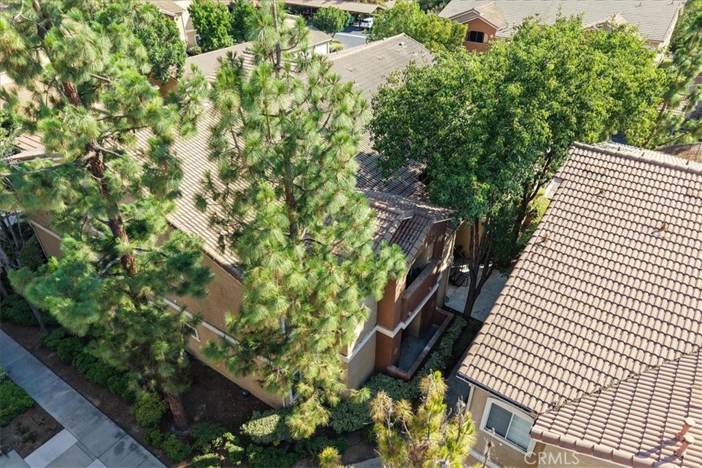 MLS #SW25179271 image #30