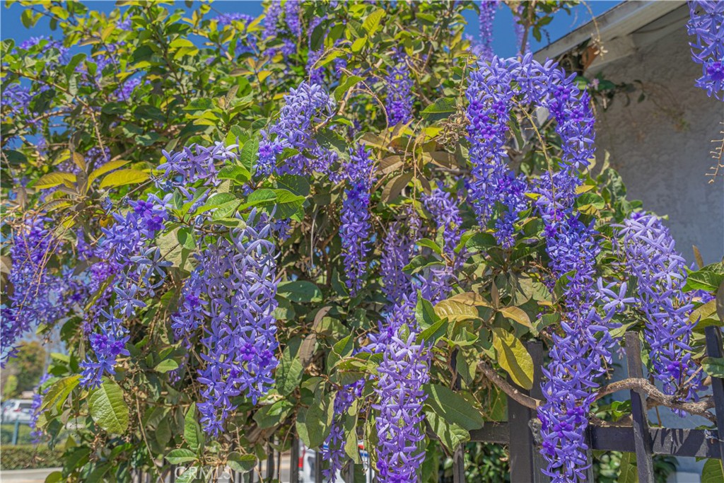 MLS #SR25170785 img 4