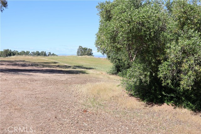 Detail Gallery Image 20 of 32 For 0 Carona Ave., Corning,  CA 96021 - – Beds | – Baths