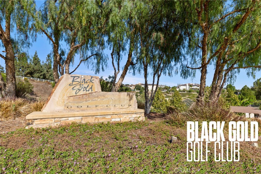 MLS #OC25275494 image #41