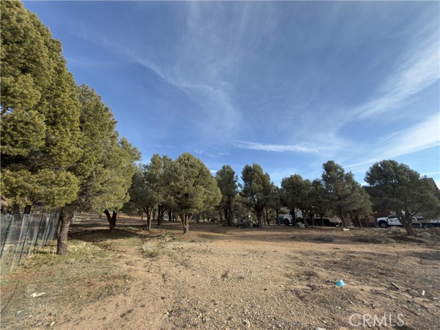 Detail Gallery Image 17 of 31 For 1820 Golden Rod, Big Bear City,  CA 92314 - – Beds | – Baths