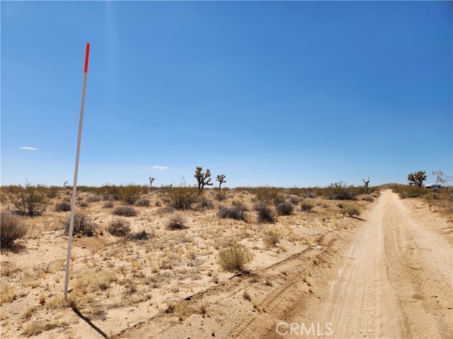 Detail Gallery Image 4 of 9 For 40 Ac Joshua Tree, Joshua Tree,  CA 92252 - – Beds | – Baths