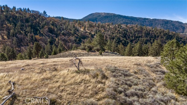 Detail Gallery Image 10 of 17 For 0 Alpine Forest Park, Tehachapi,  CA 92356 - – Beds | – Baths