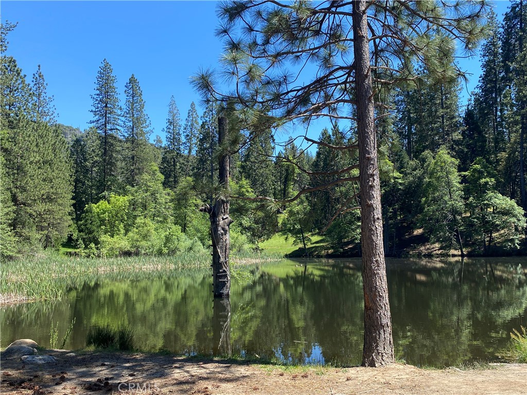 https://media.crmls.org/medias/b0147a1d-b6cf-4f9d-890c-f63c6e736b02.jpg?preset=X-Large