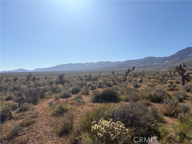 Front Image Thumbnail for CRHD26051599