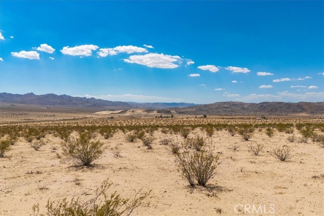 MLS #JT25263725 image #12