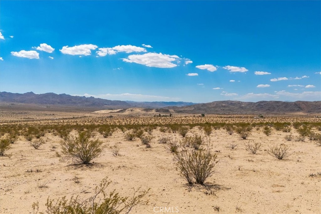 MLS #JT25263725 image #12