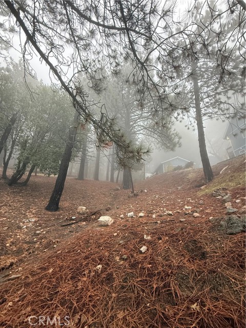 Detail Gallery Image 8 of 14 For 0 Poplar, Running Springs,  CA 92382 - – Beds | – Baths