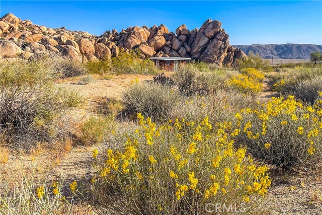 Detail Gallery Image 4 of 65 For 66126 Base Line Rd, Joshua Tree,  CA 92252 - 0 Beds | 1 Baths