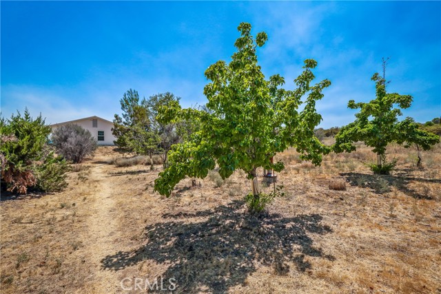 Detail Gallery Image 28 of 46 For 51800 Quail Mountain Dr, Anza,  CA 92539 - 3 Beds | 2 Baths