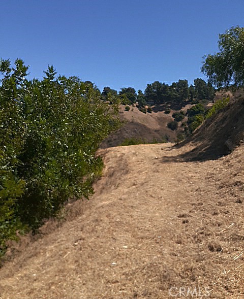 3230 Coldwater Canyon photo 2