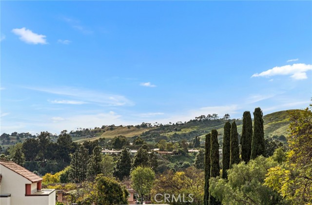 31462 El Camino Real, San Juan Capistrano CA: https://media.crmls.org/medias/b03864c6-83df-4c8f-bb05-71d838a447bc.jpg