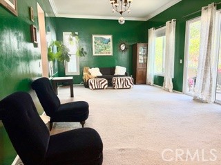 4977 Marin Drive - photo 8