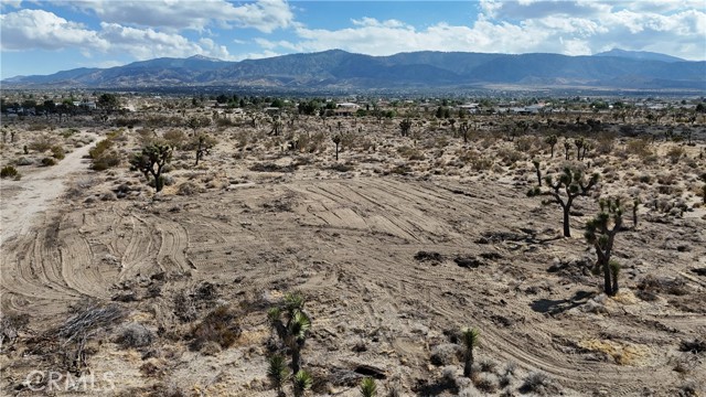 Detail Gallery Image 7 of 12 For 111 Sierra Rd, Pinon Hills,  CA 92372 - – Beds | – Baths