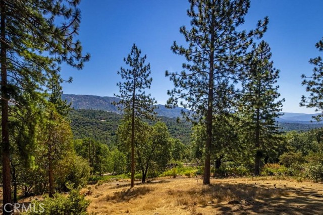 35853 Sierra Linda Drive, Wishon CA: https://media.crmls.org/medias/b03e08fb-3c8f-482e-b5d1-8e5a52b627cf.jpg