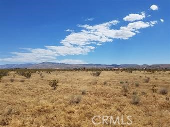 0 Bear Valley Road, Apple Valley, California 92308, ,Land,For Sale,0 Bear Valley Road,CRCV23204373