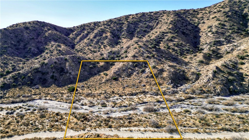 MLS #JT25021871 image #6