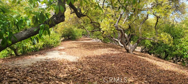 Front Image Thumbnail for CRSW26135967