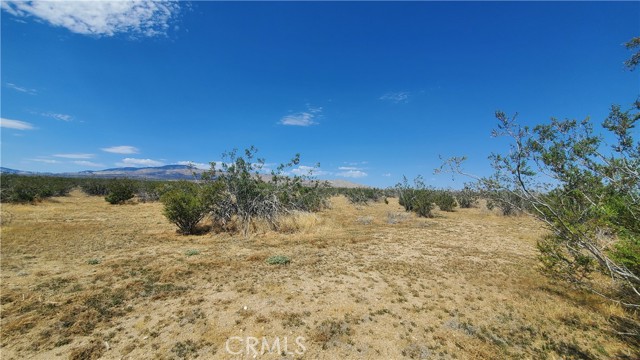 0 Budlong Ave & 114th St West, Rosamond, California 93560, ,Land,For Sale,0 Budlong Ave & 114th St West,CRSR23171065