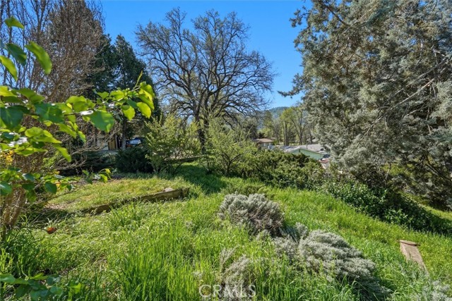 Detail Gallery Image 28 of 34 For 40888 Goldside, Oakhurst,  CA 93644 - 3 Beds | 2 Baths