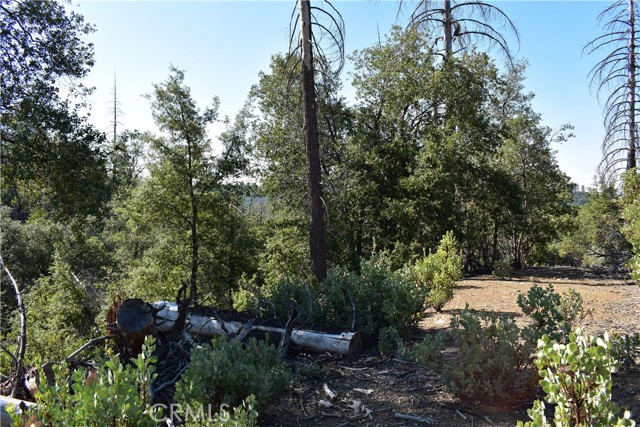 Detail Gallery Image 8 of 48 For 0 Incense Cedar Trl, Groveland,  CA 95321 - – Beds | – Baths