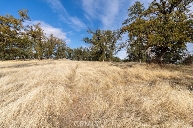 Detail Gallery Image 13 of 29 For 17333 Wagon Wheel Road, Corning,  CA 96021 - – Beds | – Baths