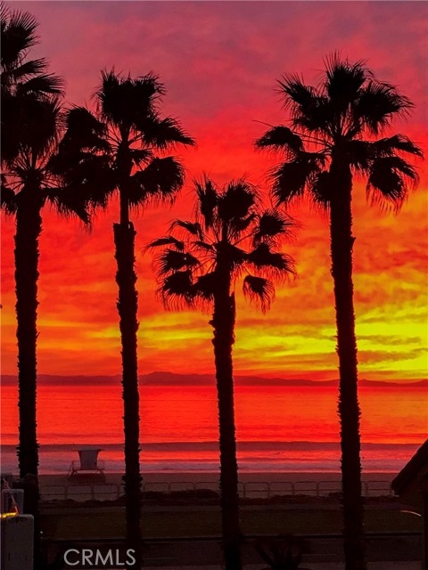 B05b06f7 55a7 4c53 Ba82 1529eb152b41