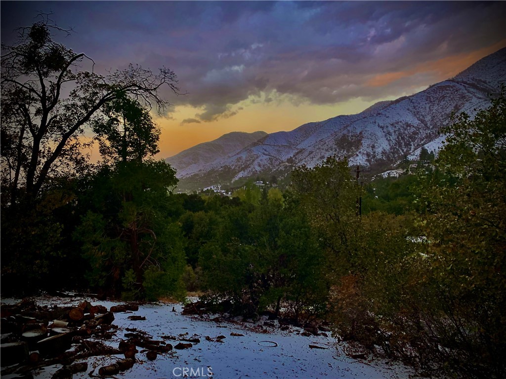https://media.crmls.org/medias/b05c1d36-5256-4c83-806a-11811692b94e.jpg?preset=X-Large
