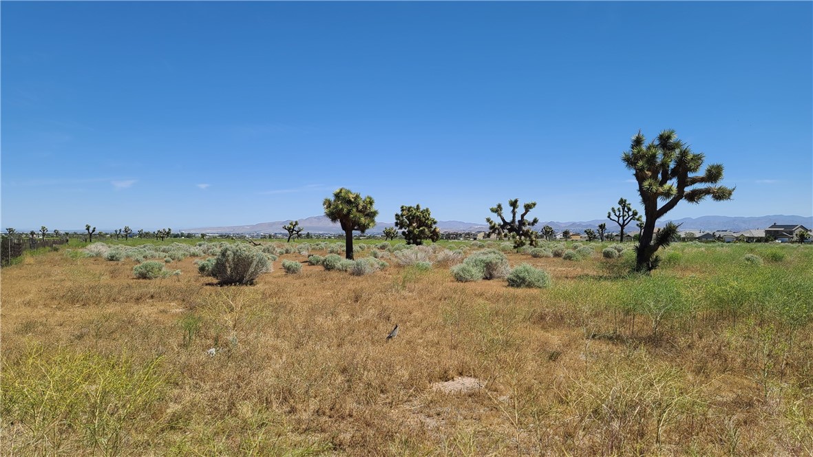 Detail Gallery Image 15 of 15 For 0 Vacant Land, Hesperia,  CA 92345 - – Beds | – Baths