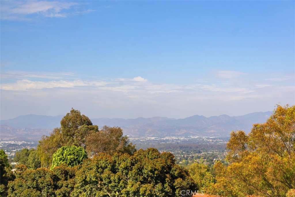 https://media.crmls.org/medias/b063f7b1-5b99-42d0-a097-d563e61de6ac.jpg?preset=X-Large