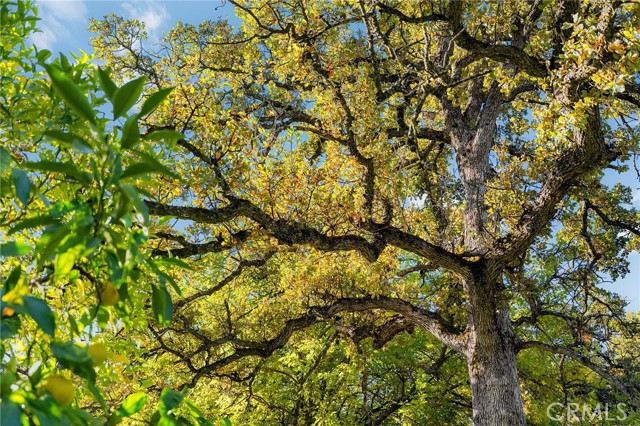 Detail Gallery Image 49 of 73 For 3690 Keefer, Chico,  CA 95973 - 4 Beds | 2/1 Baths