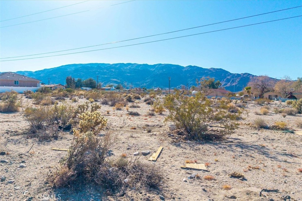 MLS #JT25028804 image #8