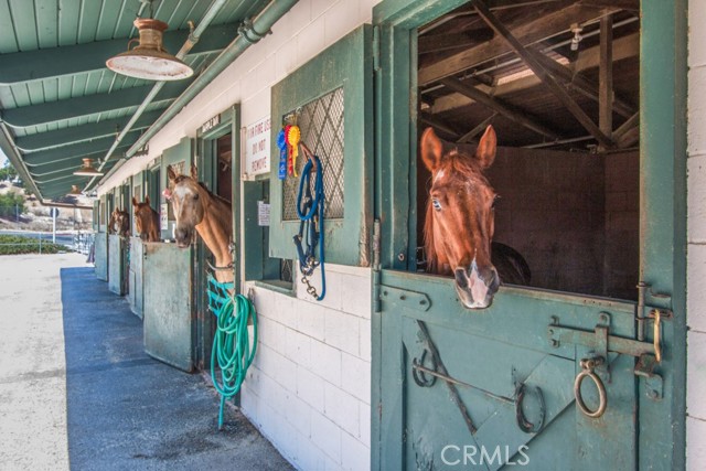 Detail Gallery Image 35 of 40 For 930 Ave Majorca #Q,  Laguna Woods,  CA 92637 - 1 Beds | 1 Baths