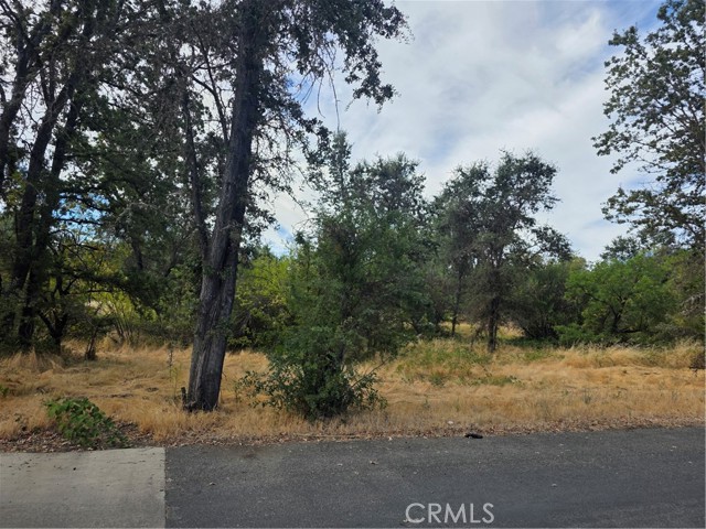 Front Image Thumbnail for CRLC26187980