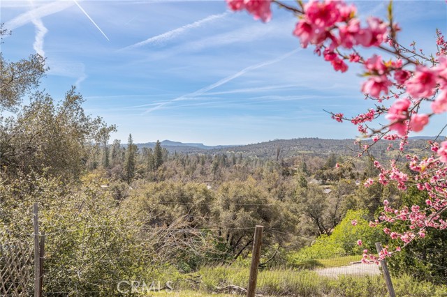 Detail Gallery Image 22 of 62 For 33030 Road 233, North Fork,  CA 93643 - 3 Beds | 2 Baths