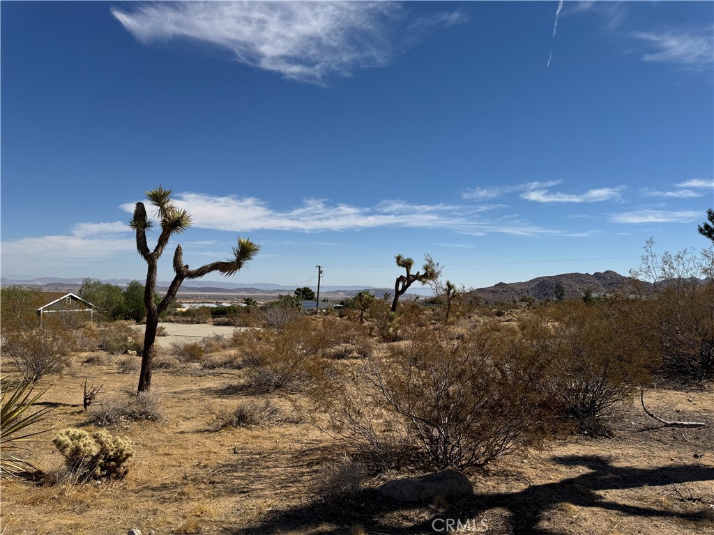 MLS #JT25245356 image #4