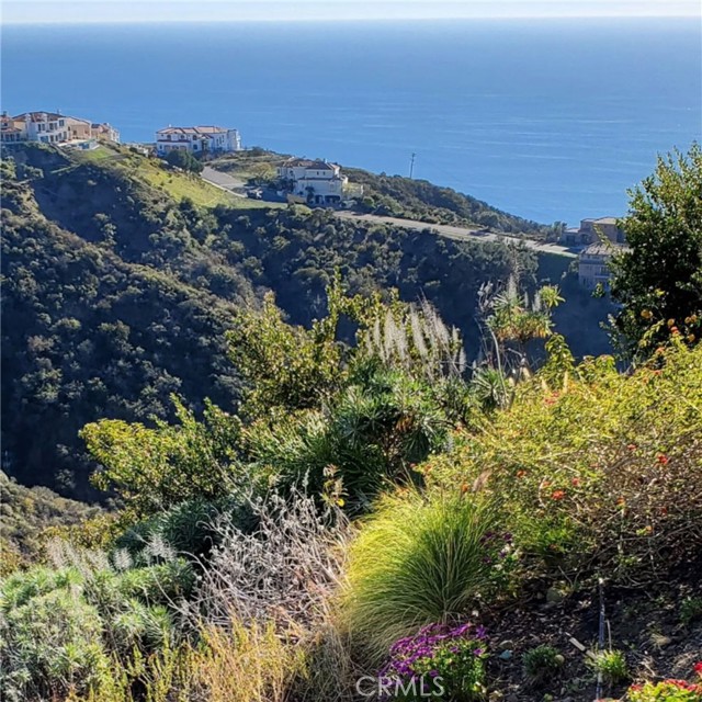 Front Image Thumbnail for CRLG26168601