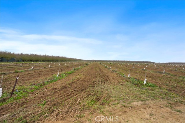 Detail Gallery Image 13 of 47 For 16221 Carrolton, Escalon,  CA 95320 - – Beds | – Baths