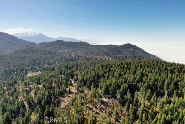 Detail Gallery Image 35 of 36 For 31741 Wagon Wheel Dr, Running Springs,  CA 92382 - 3 Beds | 2 Baths