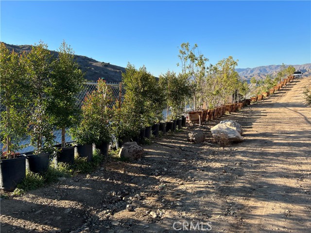 Detail Gallery Image 8 of 40 For 10171 N Sherman Grove, Sunland,  CA 91040 - – Beds | – Baths