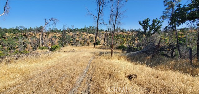 Detail Gallery Image 4 of 11 For 15687 Stagecoach, Corning,  CA 96021 - – Beds | – Baths