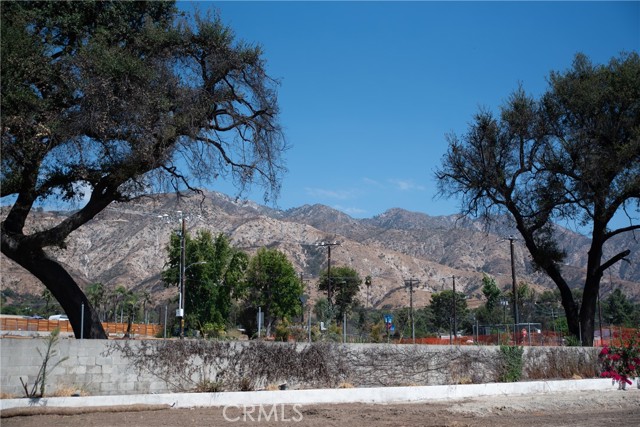 MLS #IV25221745 image #13